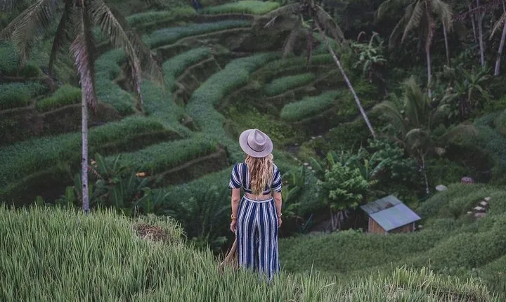 Ubud: Monkey Forest, Jungle Swing, Rice Terrace, and Water Temple