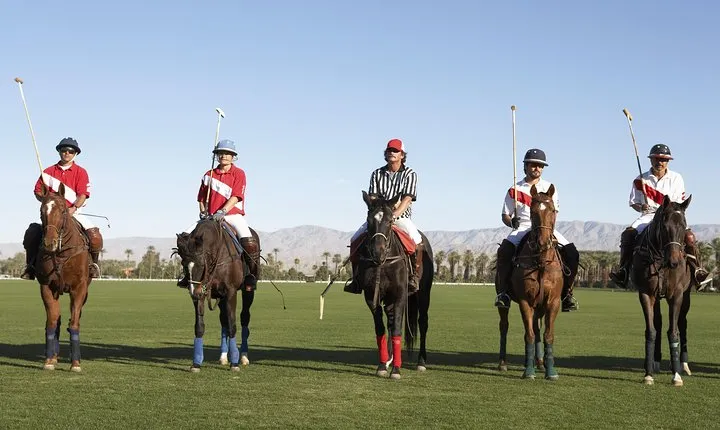 Polo Match, BBQ and Lesson Day-Trip from Buenos Aires