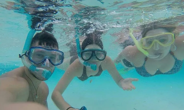 3 Point Snorkeling Safari