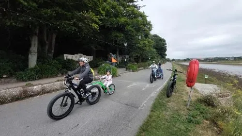 Hayle: 4-Hours Fat-Tyre E-Bike Hire