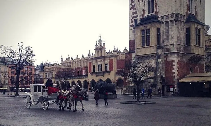 Old Town Krakow & Wawel Castle Walking Tour