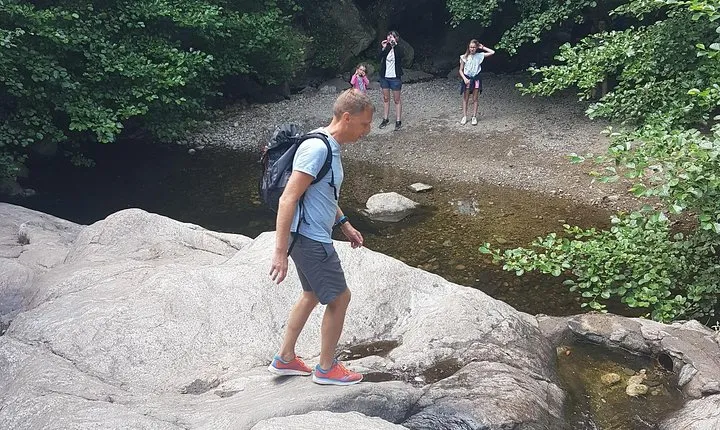 Over Water and Bird Songs