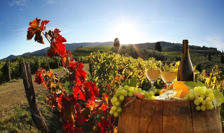 Chianti, SuperTuscan & San Gimignano - 2 wineries and light lunch