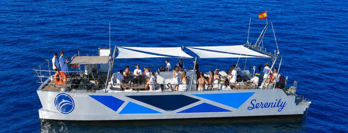 Dolphin watching shared catamaran tour in Benalmádena