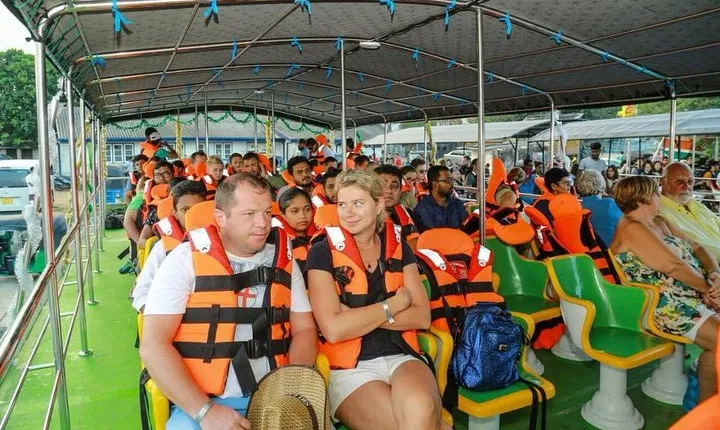 Whales and Dolphins Watching-Luxury Super Grade Cruiser(Hotel Pick up offered)