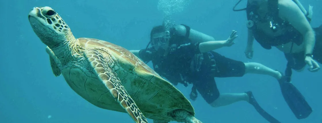 Fast stylish Catamaran in the Great Barrier Reef