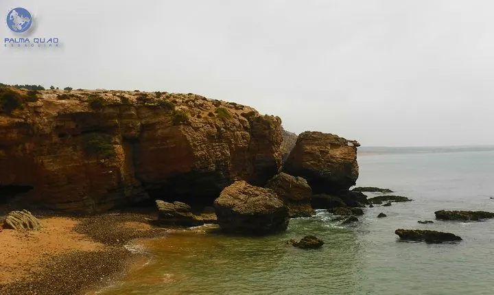 Big Cap Sim dunes and forest 3 hours tour.