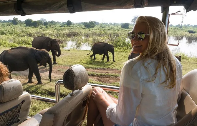 Private Tour: Udawalawe National Park Safari