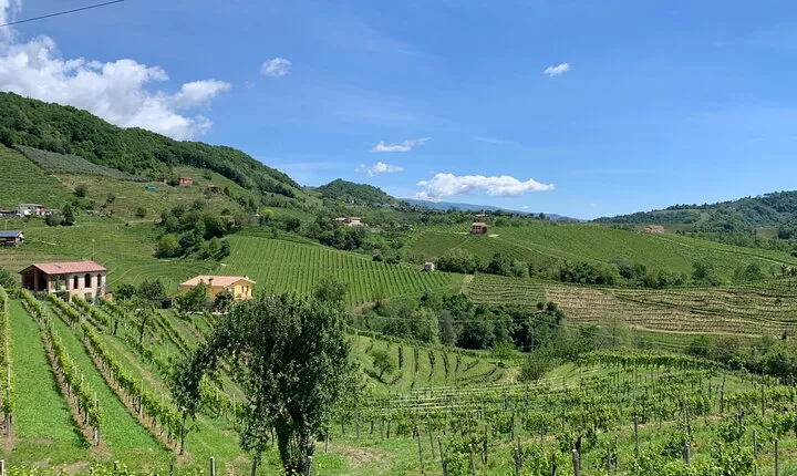 A sparkling day in the Prosecco Hills from Venice by Yellowboot
