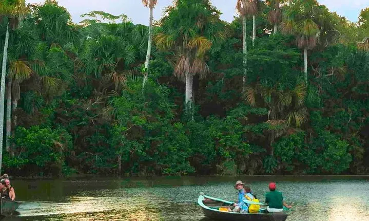 Tambopata Jungle Adventure Tour 4 Days