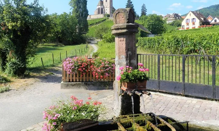 The Emblematic: visit of villages, Haut-Koenigsbourg, Wine tasting