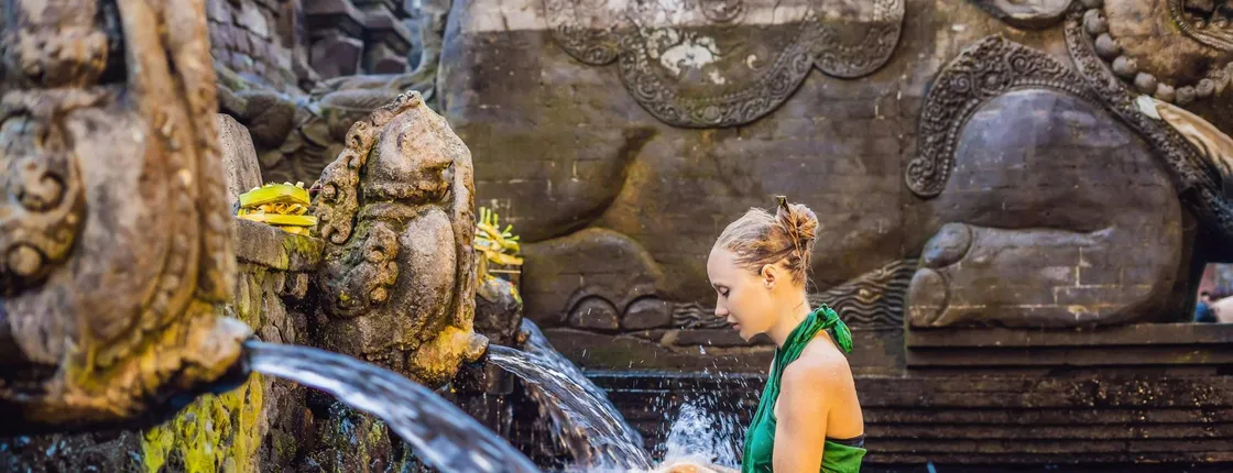 Monkey Forest, waterfall, rice terrace jungle swing private tour