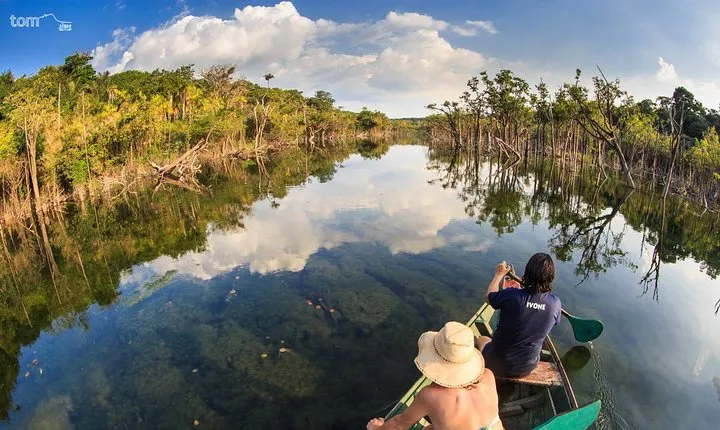 Alter do Chão FLONA Jamaraquá Tour