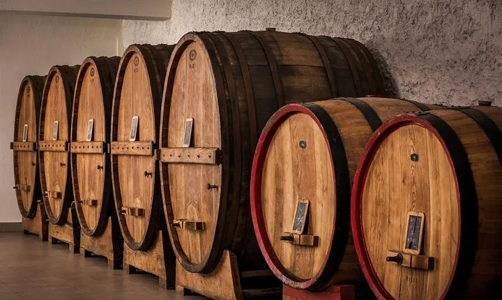 Winemaker for a Day: Tour an Organic Winery