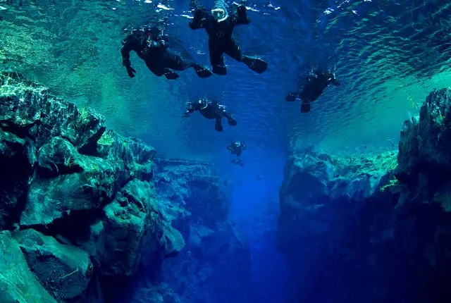 Silfra: Snorkeling Between Tectonic Plates Pick Up from Reykjavik