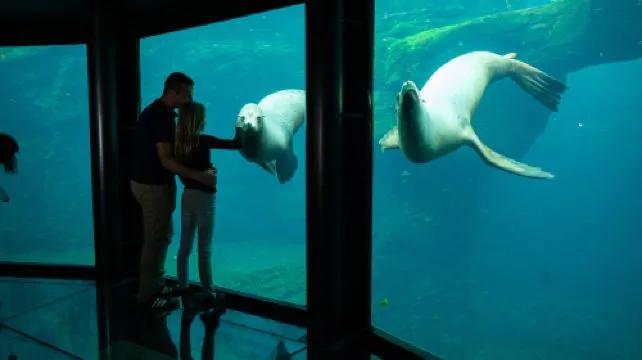 Nausicaá - Centre national de la Mer Ticket Student