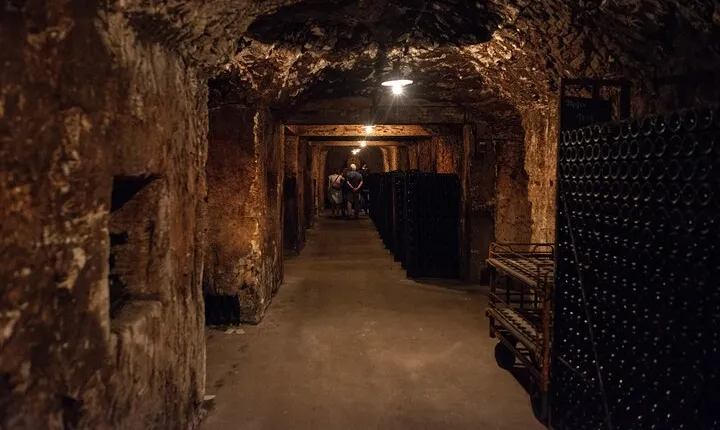 Reims afternoon tour Champagne and family growers