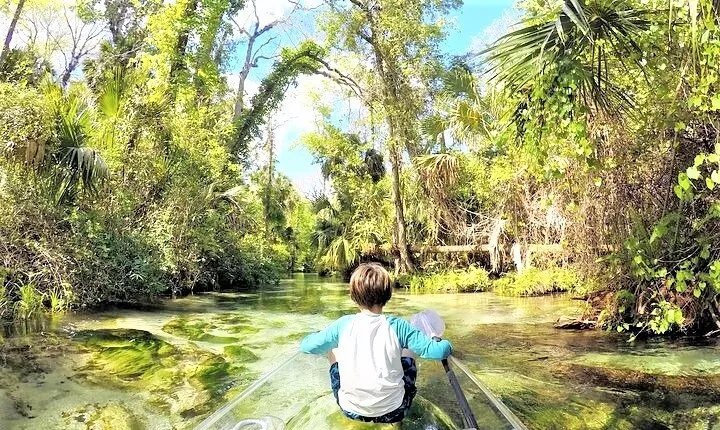 Rock Springs 2-Hour Glass Bottom Guided Kayak Eco Tour