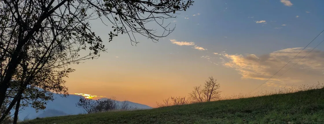 Truffle Hunting with Tasting in Gavi