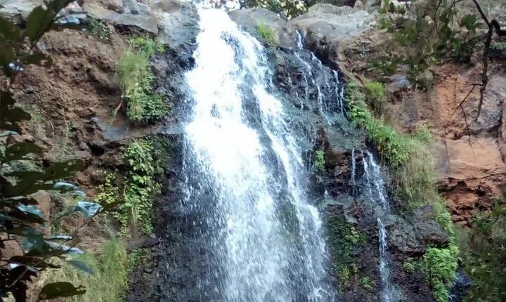 Ngare Ndare Day Trip - Nanyuki