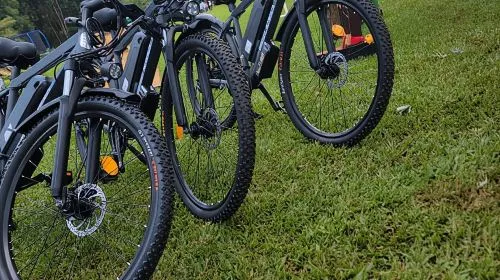 Tigoni: E-bike Tour