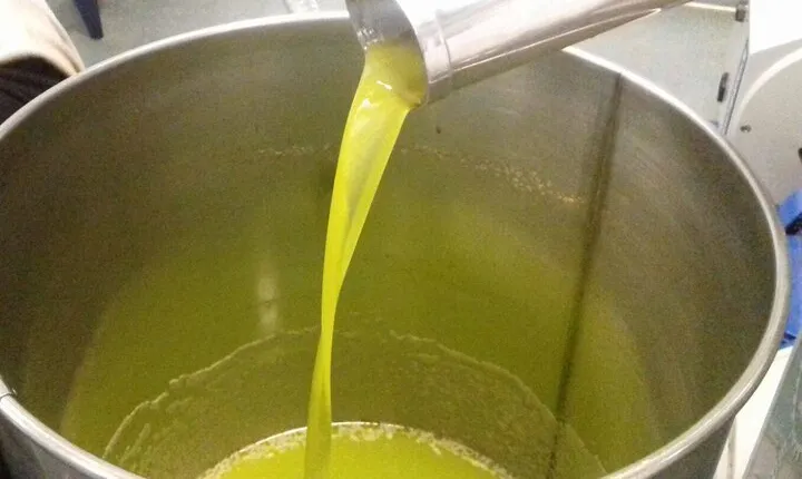 Amarone Della Valpolicella Wine Experience - Meet the Vogadori Family