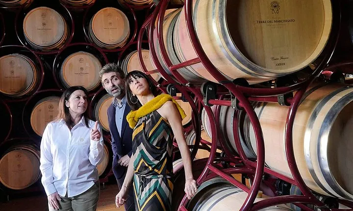 Bolgheri: Classic Wine Tasting with Winery Tour