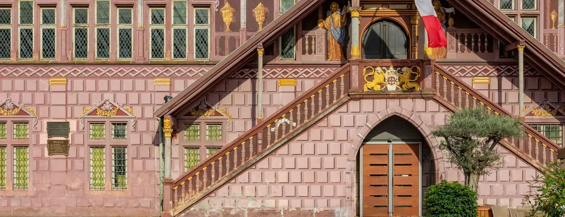 Mulhouse 2-hour introductory walking tour with a local