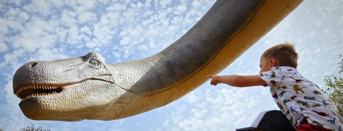 Guided tour of Hams Caves with Dinosaurland visit
