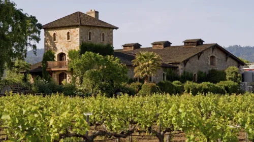 1-day tour to Sonoma and Napa Valley wine country from San Francisco