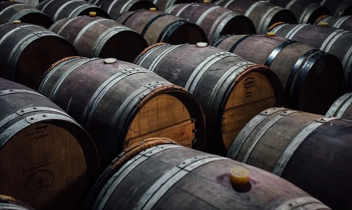 Day Trip to Kakheti Wine Region Including Seven Wine Tastings