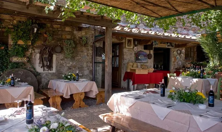 Chianti Safari: Tuscan Villas with vineyards, Cheese, Wine & Lunch from Florence