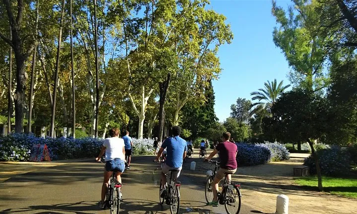 Seville Electric Bike Small Group Tour