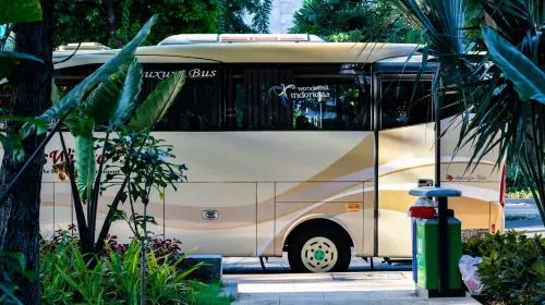 Chitwan to Pokhara Sofa Seat Bus