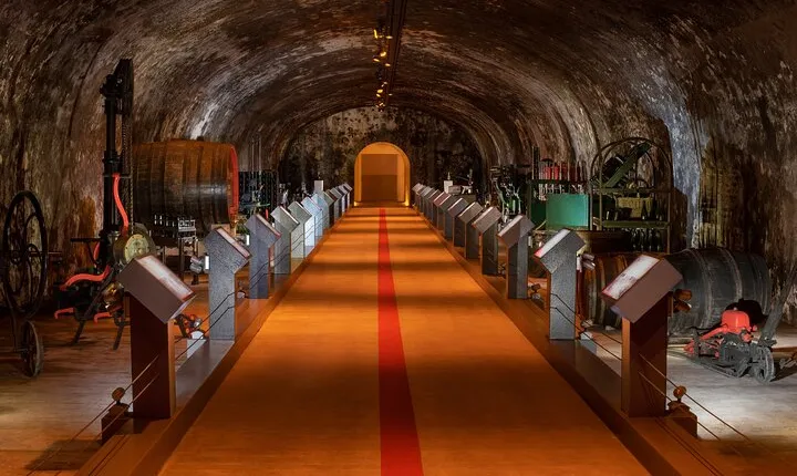 From Reims: Full day Champagne Mumm, family growers & lunch