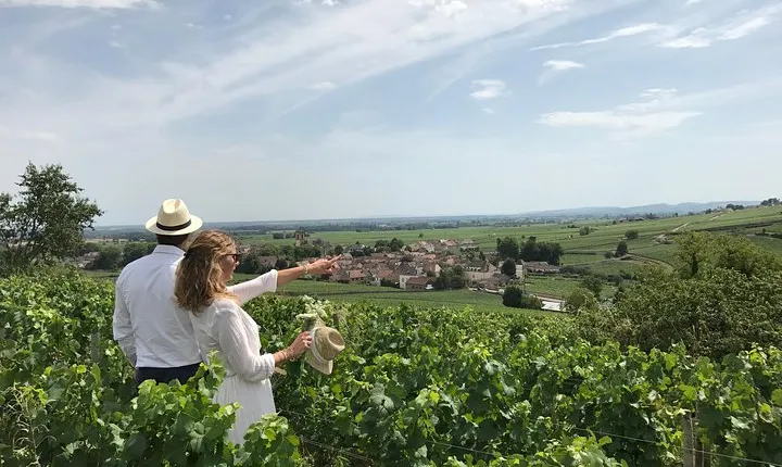 Full day from Dijon: the most of Burgundy with lunch