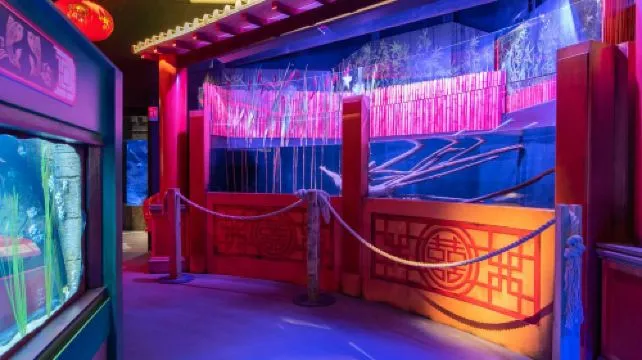 SEA LIFE Paris Aquarium Adult