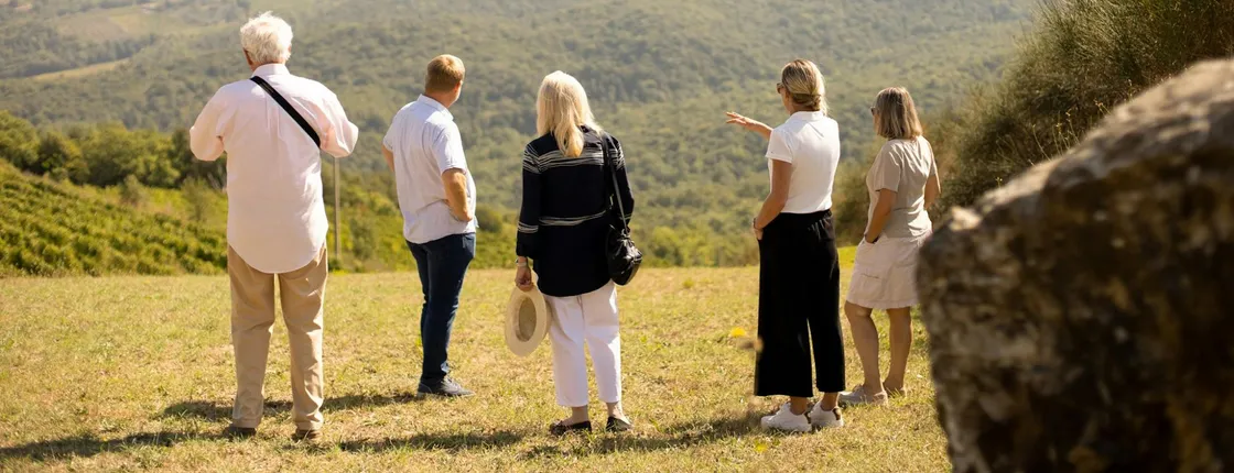 Guided Wine Tour with Tasting in Montalcino