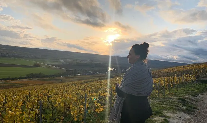  From Reims morning Champagne family growers