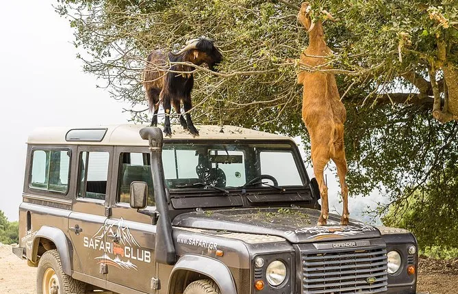 Full-Day Land Rover Safari from Heraklion with Lunch