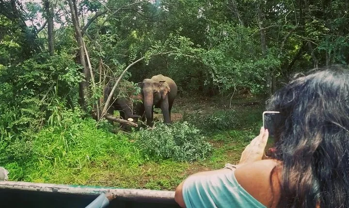 Private Dambulla Sigiriya Tour from Kandy with Lunch