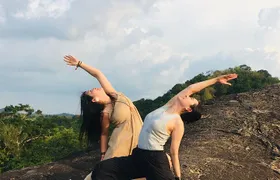 Minneriya National Park halfday Safari