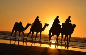 3 hours ride on camel at sunset