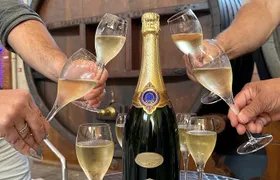 Champagne Day Trip from Reims including 7 Champagne Tastings