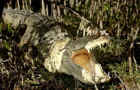 Sian Ka'an Adventure Full Day Trip to Punta Allen