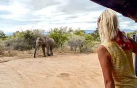 Udawalawe Safari DayTrip frm Bentota/Kalutara/Ahungalla/Hikkaduwa