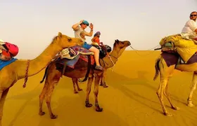 Visit to National Camel Research Center