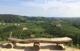 Prosecco - Wine tour & tasting - Full day in the Prosecco region