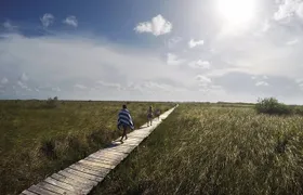 Tulum Archaeological Site & Sian Ka'an Muyil Tour from Tulum