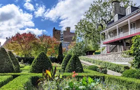 Explore Old Montreal Small Group Walking Tour by MTL Detours